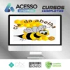 Escola de Apicultura - Cia Da Abelha