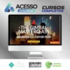 The Gimbal Masterclass - Brandon Li [INGLÊS]