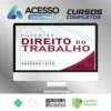 Curso de Direito do Trabalho 12ª Edição - Carlos Henrique Bezerra Leite