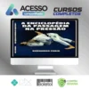 Enciclopédia da Passagem na Pressão - Bernardo Faria