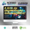 A Arte da Enumeração de Subdomínios - Eduardo Barbosa