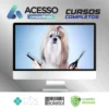 Banho e Tosa para Cães - Johnatan Skolimoski