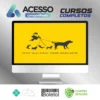 Curso para Walkers Go Dog - Bruno Gavina