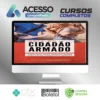 Guia do Cidadão Armado - Bene Barbosa