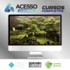 Cultivo Indoor de Plantas Medicinais - Jean Silva