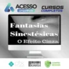 Fantasias Sinestesicas o Efeito Cinza: Aprenda a Conquistar Uma Mulher - Segredos da Atração
