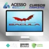 Curso Bacula - EADCCNA