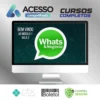 Como Vender Mais Usando o Whatsapp - Luiz Felipe Castro